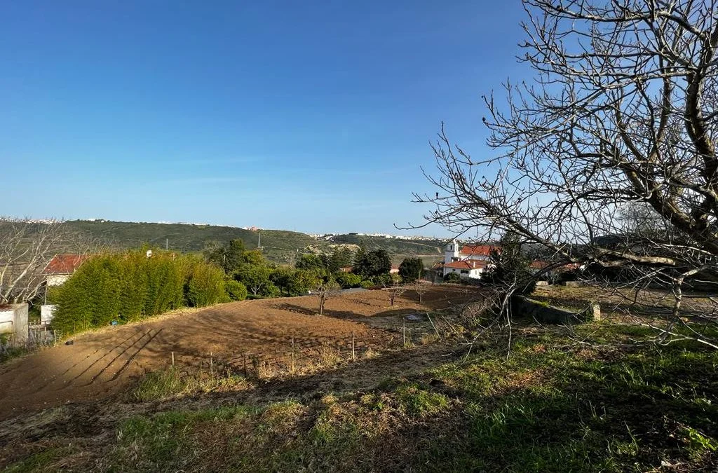 Foto da Casa