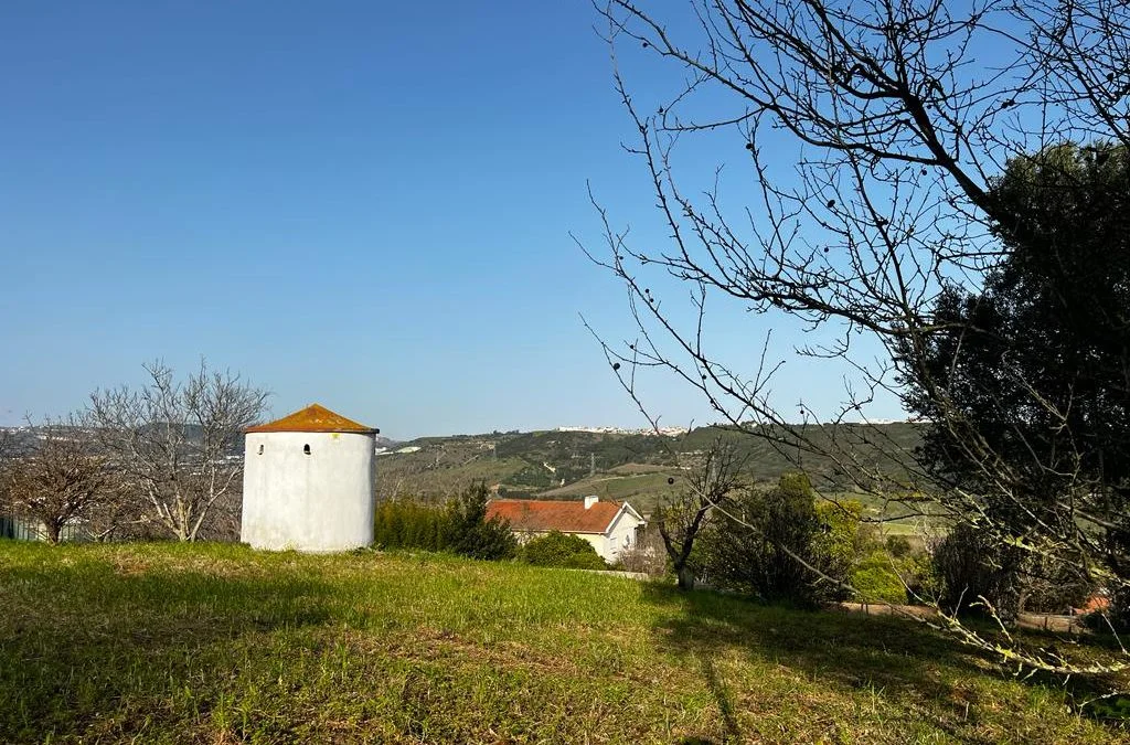 Foto da Casa