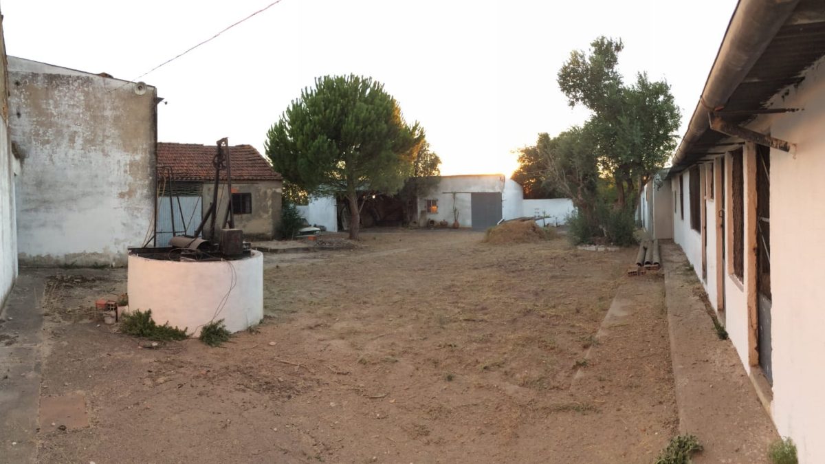 Foto da Casa
