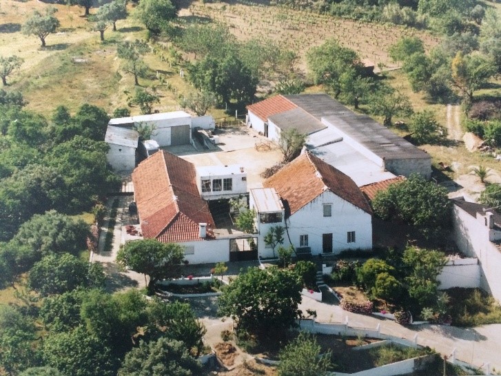 Foto principal